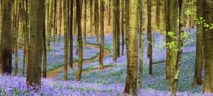 Resolve stress and anxiety at stress management clinic in Cardiff - AcuTy
